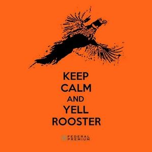 Meet your Posher, Scott